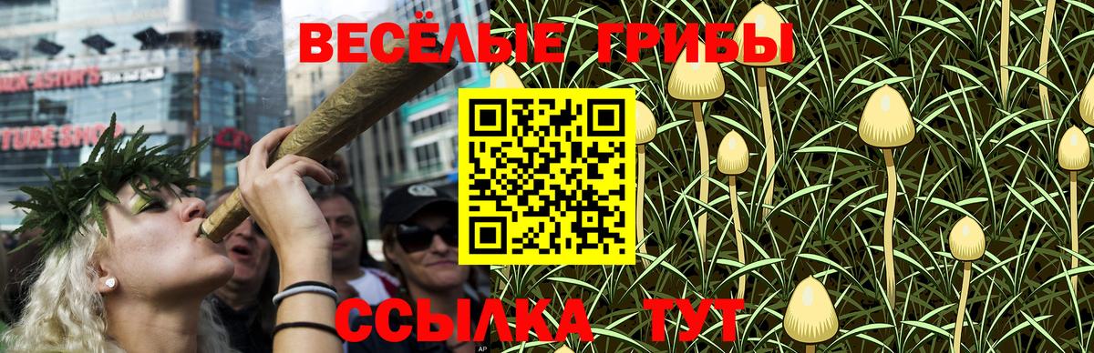 Псилоцибиновые грибы MAGIC MUSHROOMS  Галлюциногенные грибы Psilocybe  цена   Вход с VPN  Большой Камень 